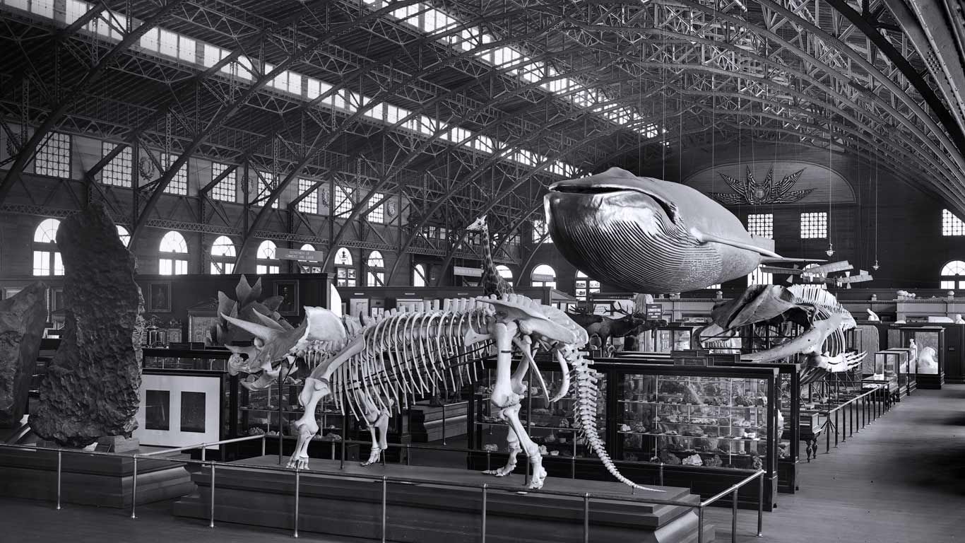 Smithsonian touring exhibition at the 1904 St. Louis World’s Fair
