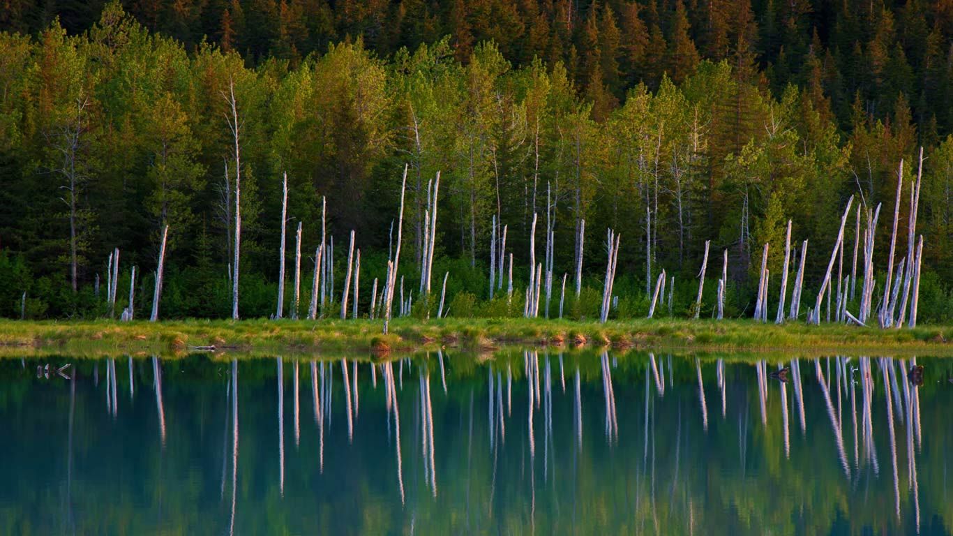 Portage Lake in Chugach National Forest, Alaska