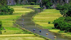 Barques naviguant entre les rizières sur la rivière Ngo Dong, Province de Ninh Binh, Vietnam (© Jeremy Woodhouse/Getty Images)(Bing France)
