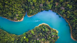 Khao Sok National Park, Surat Thani, Thailand (© Peetatham Kongkapech/Getty Images)(Bing United Kingdom)