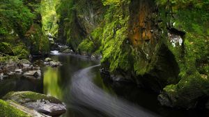 Fairy Glen, Betws-y-coed, Conwy (© Robert Harding World Imagery/Offset by Shutterstock)(Bing United Kingdom)