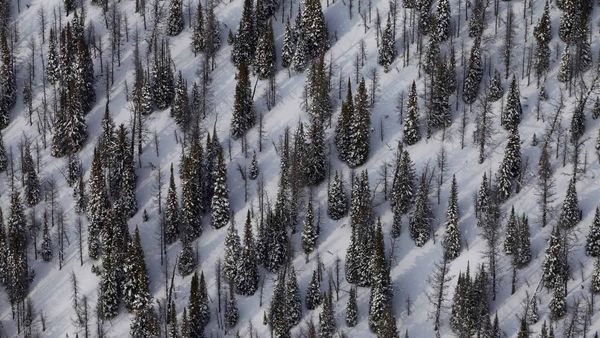 Mount Goodsir and surroundings in Yoho National Park, B.C.