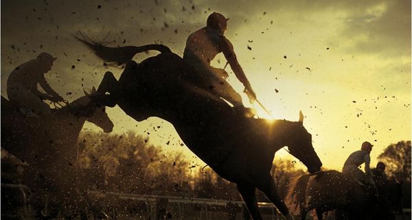 Horses