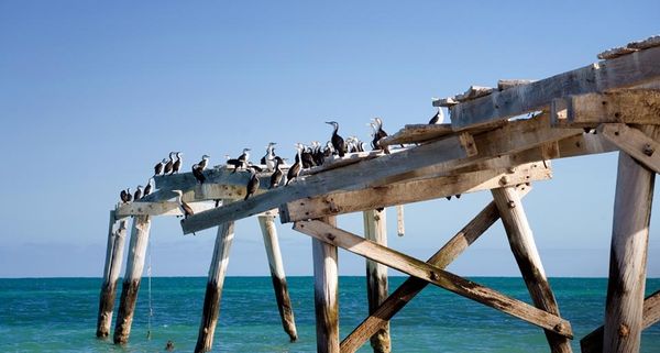 EuclaJetty