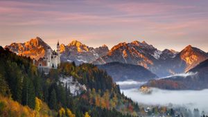 新天鹅堡，德国巴伐利亚 (© Boris Jordan Photography/Getty Images)(Bing China)