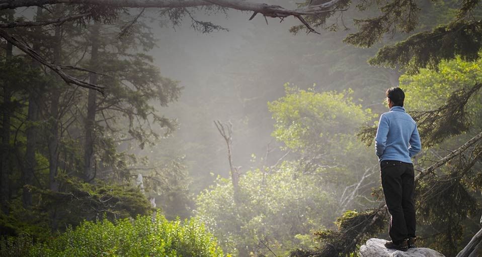 一起爱环保：植树造林防治沙漠化