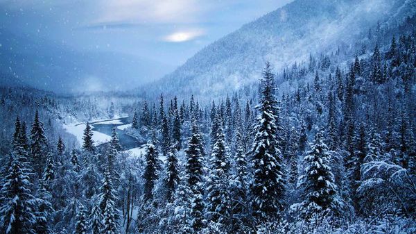 Kenai Peninsula, Alaska, USA