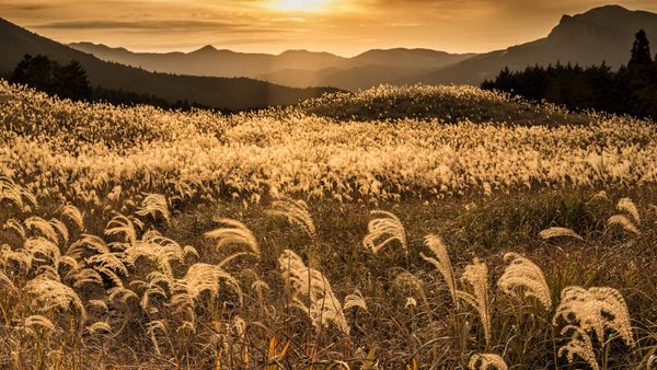 ｢曽爾高原の夕焼け｣奈良県