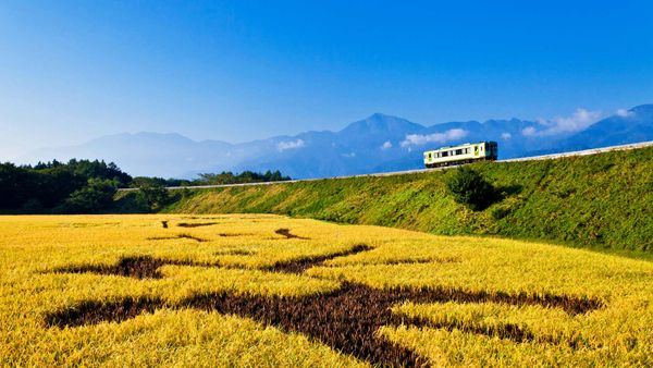 ｢秋の小海線｣山梨県, 北杜市