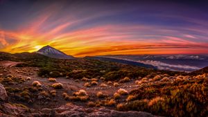 Parque Nacional del Teide, Santa Cruz de Tenerife, España (© Javier Martínez Morán/Alamy)(Bing España)