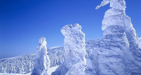 ｢蔵王樹氷まつり｣山形, 蔵王温泉