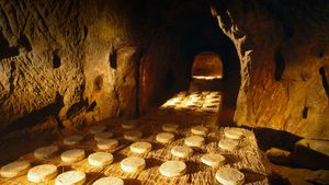Fromages saint-nectaire en cours d’affinage dans une cave, Haute-Loire, Auvergne (© Franz Marc Frei/LOOK Die Bildagentur der Fotografen GmbH/Alamy)(Bing France)