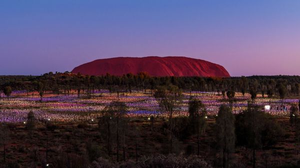\'Field of Light\' by artist Bruce Munro at Uluru, Australia