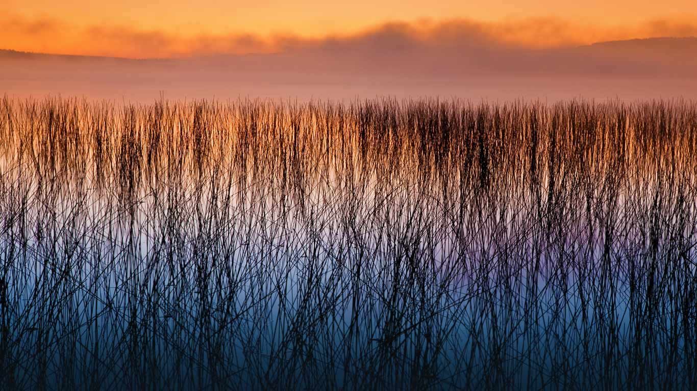 The Headwaters Wilderness in Wisconsin