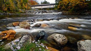 Covered bridge crosses the Wild Ammonoosuc River in Bath, New Hampshire (© Daniel Dempster Photography/Alamy)(Bing New Zealand)