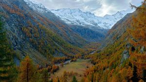 Gran Paradiso National Park, Italy (© Ondrej Prosicky/Alamy)(Bing New Zealand)