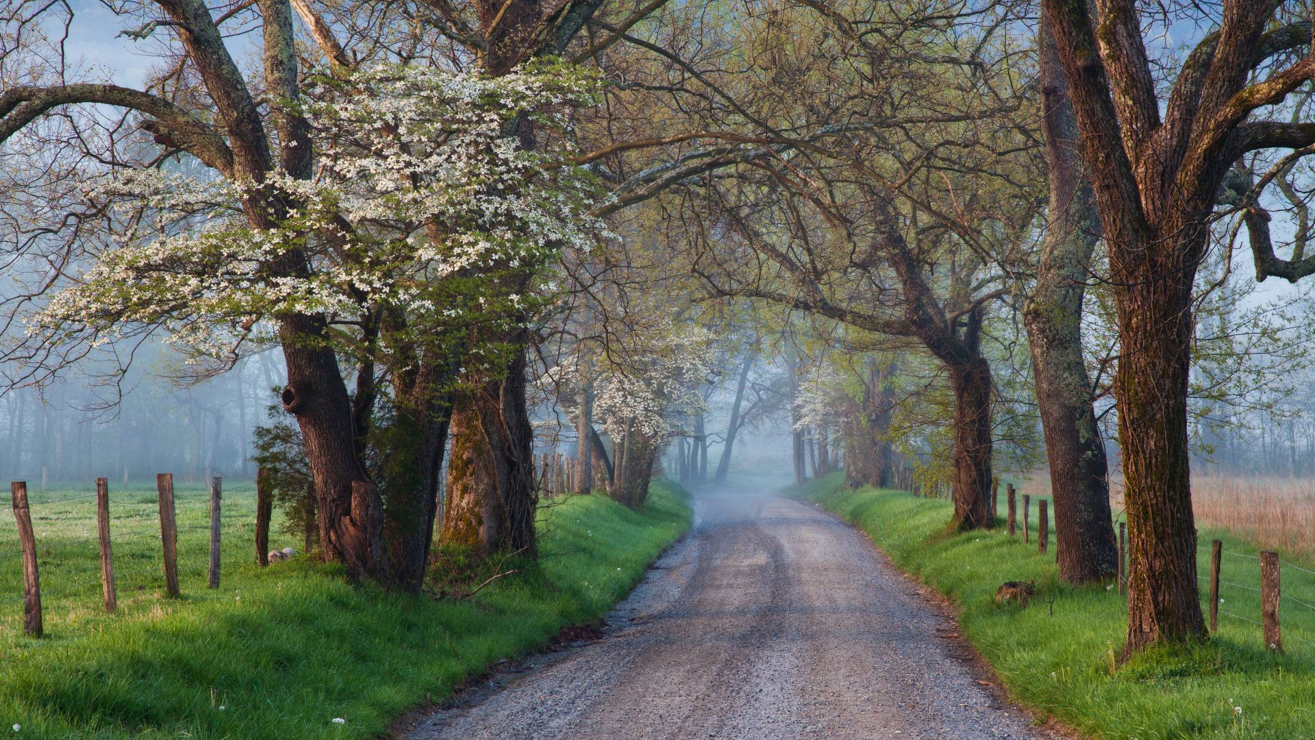 Sparks Lane in Cades Cove, Great Smoky Mountains National Park, Tennessee, USA