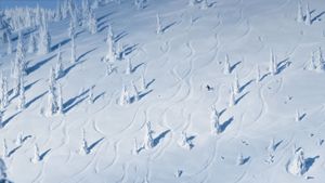 美国，蒙大拿州，怀特菲什的雪山 (© Tetra Images/Offset)(Bing China)