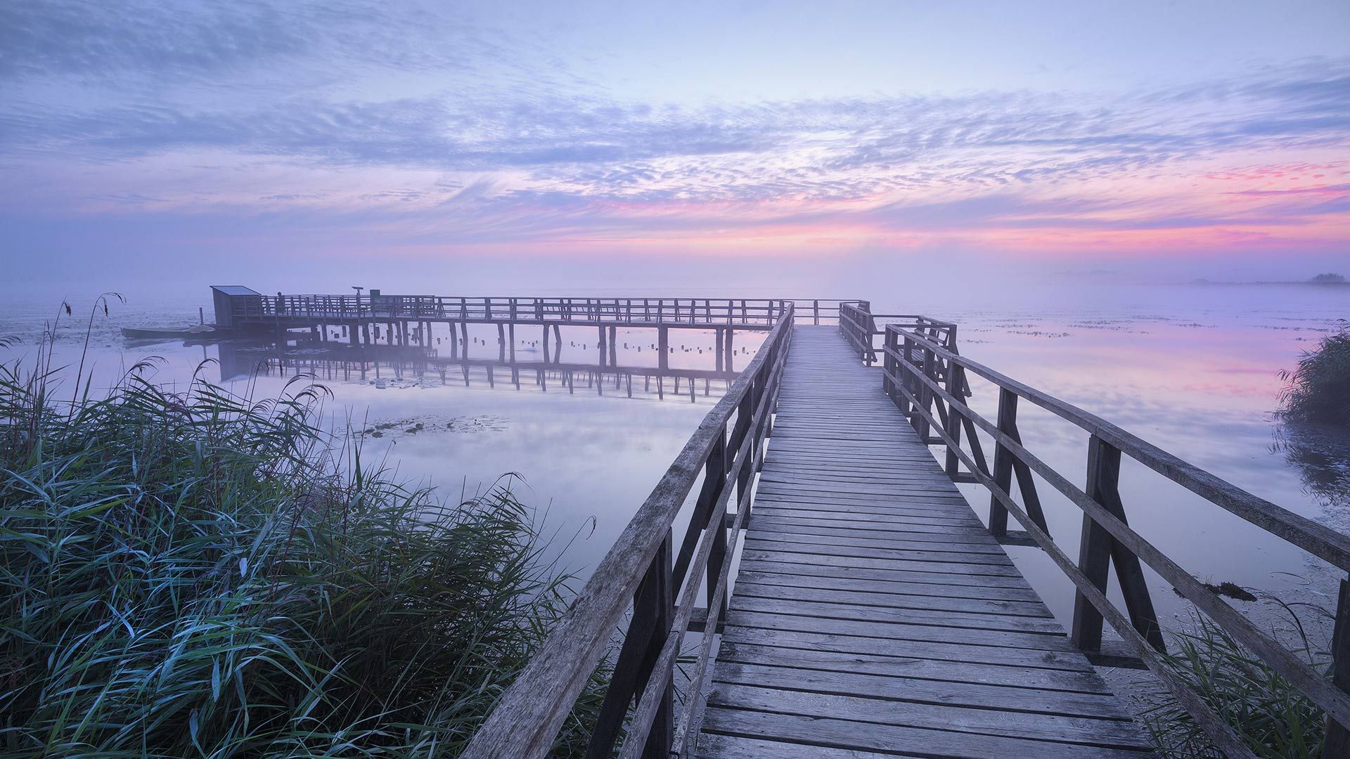 Der Federseesteg in der Morgendämmerung nahe Bad Buchau, Baden-Württemberg, Deutschland