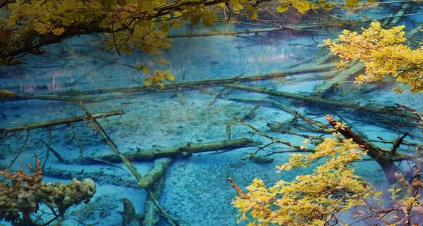 四川九寨沟的五花湖