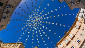 ｢ドゥオモ広場のデコレーション｣イタリア, アマルフィ (© LatitudeStock – TTL/Getty Images)(Bing Japan)