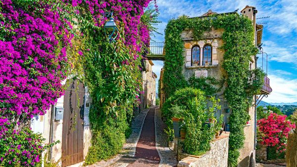 Allée fleurie à Saint-Paul-de-Vence, Alpes Maritimes, Provence-Alpes-Côte-D’azur