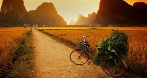 广西省，停放在稻田边的自行车 (© Walter Bibikow/Taxi/Getty Images) &copy; (Bing China)