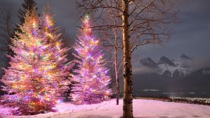 Christmas trees with the Three Sisters mountain in the background, Canmore, Alberta (© Nick Fitzhardinge/Moment/Getty Images)(Bing Canada)