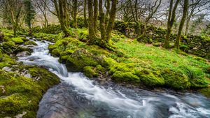 River in the Croesor Valley, Snowdonia National Park, Gwynedd. (© Matthew Williams-Ellis/Plainpicture)(Bing United Kingdom)