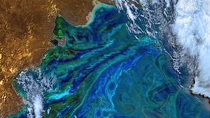 ｢藻類ブルーム｣大西洋, 南米沖 (© NASA)(Bing Japan)