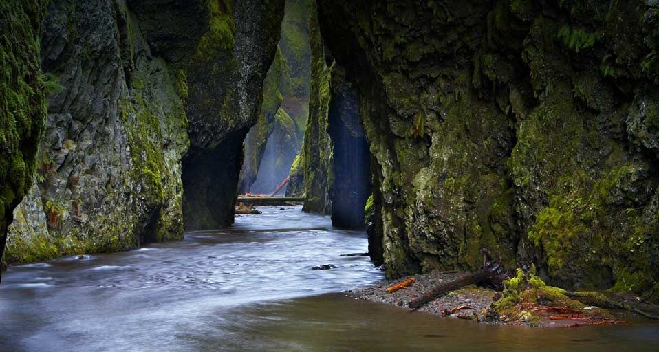Oneonta Gorge, in the Columbia River Gorge, Oregon, USA
