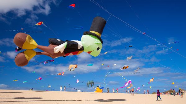 Festival Internacional de Cometas de Corralejo, La Oliva, Fuerteventura, Las Palmas, Canarias, España