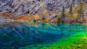 Blue and Green algae in the clear water of Grassi Lakes, near Canmore, Alberta, Canada (© Gaertner/Alamy)(Bing Australia)