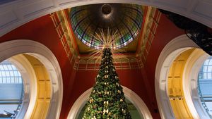 Christmas tree under the dome of the Queen Victoria Building, Sydney (© Travelscape Images/Alamy Stock Photo)(Bing Australia)