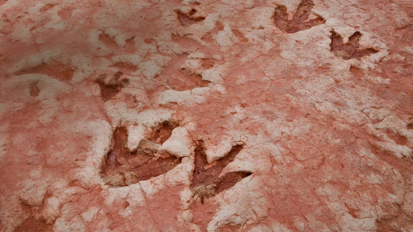 Dinosaur tracks from the Jurassic period found near Tuba City, Arizona, in the Navajo Nation