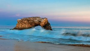 美国，加利福尼亚州，圣克鲁斯县，自然桥州立海滩 (© Fotofeeling/Westend61/plainpicture)(Bing China)