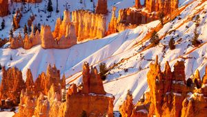 Sandstone hoodoos, Bryce Canyon National Park, Utah, United States (© Stephen Matera/TANDEM Stills + Motion)(Bing United Kingdom)