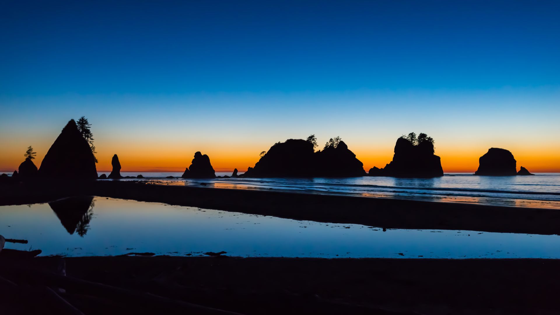 Shi Shi Beach in Olympic National Park, Washington, USA