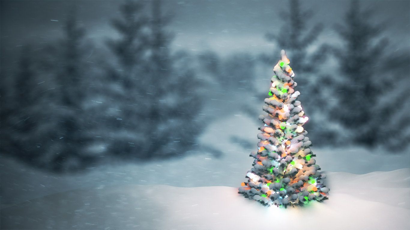 ｢雪の中のクリスマスツリー｣