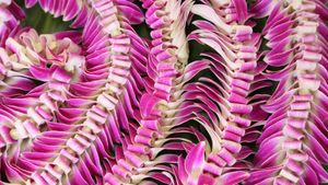 Hawaiian lei flower garlands (© Jotika Pun/Shutterstock)(Bing Canada)