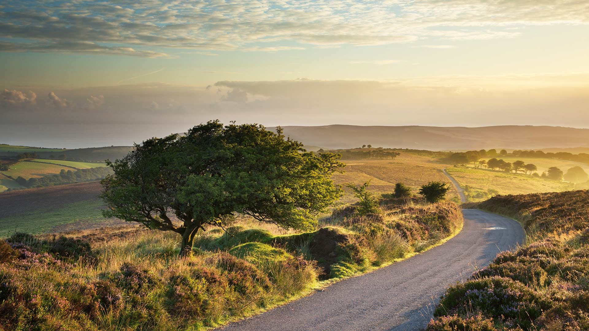 Stoke Pero Common, Exmoor National Park, England, UK