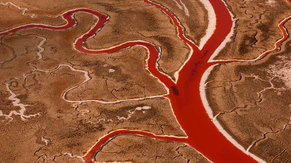 Salt flats in San Francisco Bay, California, USA
