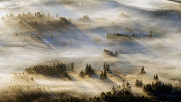 Cowichan Valley, Vancouver Island, British Columbia, Canada