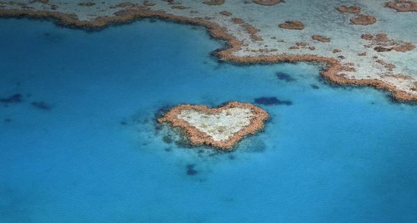 Heart Reef, part of the Great Barrier Reef  in Queensland, Australia