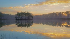 Long Pine Key dans le parc national des Everglades, Floride, États-Unis (© Tandem Stills + Motion)(Bing France)