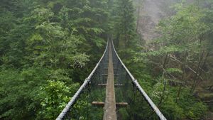 Logan Creek Suspension Bridge, West Coast Trail, Canada (© Tandem Stock/Adobe Stock)(Bing United States)