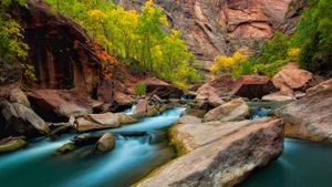 ｢バージン川｣米国ユタ州, ザイオン国立公園 (© Justinreznick/Getty Images)(Bing Japan)