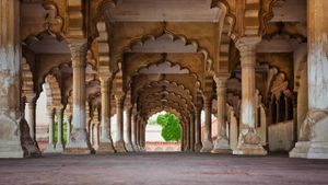 印度北方邦，阿格拉古堡 (© Bryan Mullennix/Corbis)(Bing China)