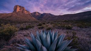 El Capitan au lever du soleil, parc national des Guadalupe Mountains, Texas, États-Unis (© Adam Mowery/Tandem Stills + Motion)(Bing France)