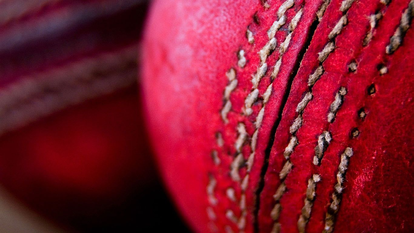 Cricket balls
